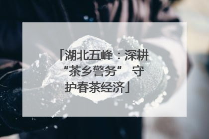 湖北五峰：深耕“茶乡警务” 守护春茶经济