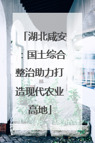 湖北咸安：国土综合整治助力打造现代农业高地