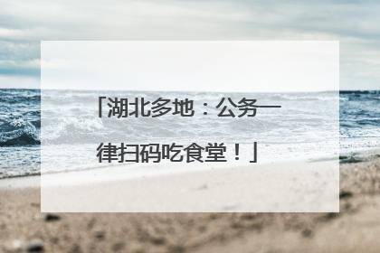 湖北多地：公务一律扫码吃食堂！