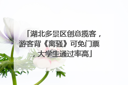 湖北多景区创意揽客，游客背《离骚》可免门票，大学生通过率高