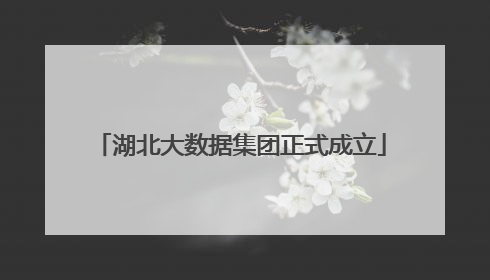 湖北大数据集团正式成立