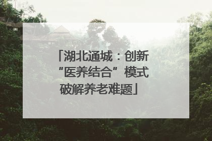 湖北通城：创新 “医养结合”模式 破解养老难题