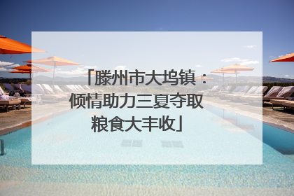 滕州市大坞镇：倾情助力三夏夺取粮食大丰收