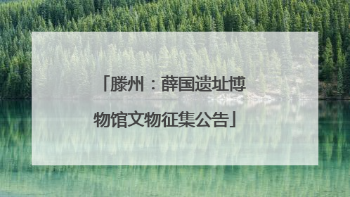 滕州：薛国遗址博物馆文物征集公告