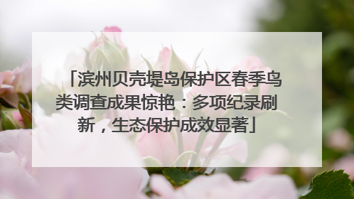 滨州贝壳堤岛保护区春季鸟类调查成果惊艳：多项纪录刷新，生态保护成效显著