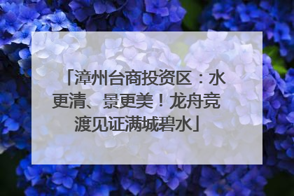 漳州台商投资区：水更清、景更美！龙舟竞渡见证满城碧水