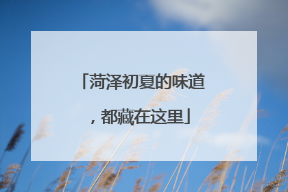 菏泽初夏的味道，都藏在这里