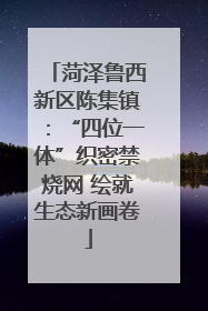 菏泽鲁西新区陈集镇：“四位一体”织密禁烧网 绘就生态新画卷