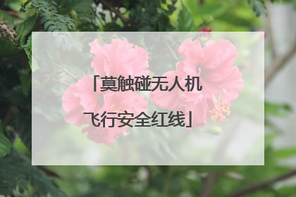 莫触碰无人机飞行安全红线