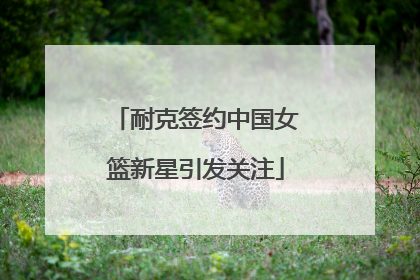 耐克签约中国女篮新星引发关注