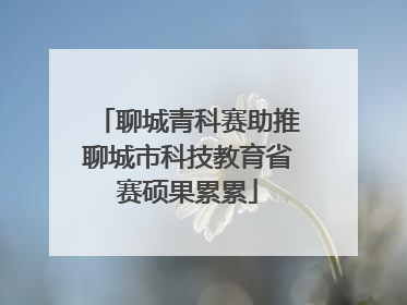 聊城青科赛助推聊城市科技教育省赛硕果累累