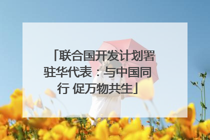 联合国开发计划署驻华代表：与中国同行 促万物共生