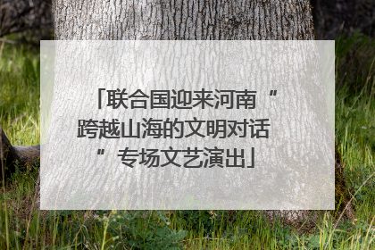 联合国迎来河南“跨越山海的文明对话”专场文艺演出