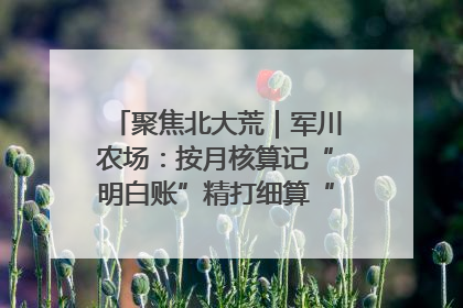 聚焦北大荒｜军川农场：按月核算记“明白账”精打细算“过紧日子”