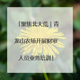 聚焦北大荒｜青龙山农场开展财审人员业务培训