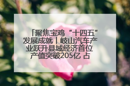 聚焦宝鸡“十四五”发展成就丨岐山汽车产业跃升县域经济首位 产值突破205亿 占规上工业75%