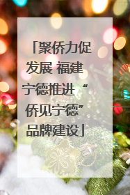 聚侨力促发展 福建宁德推进“侨见宁德”品牌建设