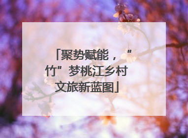 聚势赋能，“竹”梦桃江乡村文旅新蓝图