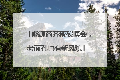 能源商齐聚碳博会，老面孔也有新风貌