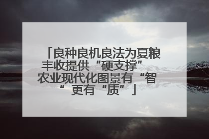 良种良机良法为夏粮丰收提供“硬支撑” 农业现代化图景有“智”更有“质”