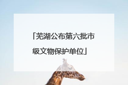 芜湖公布第六批市级文物保护单位