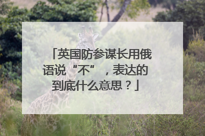 英国防参谋长用俄语说“不”，表达的到底什么意思？