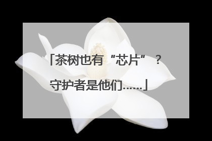 茶树也有“芯片”？守护者是他们……