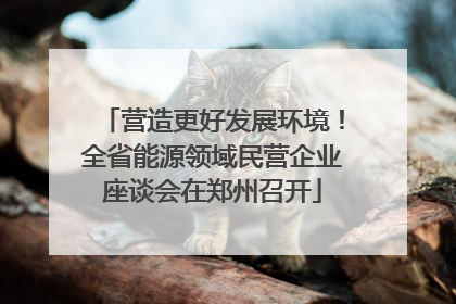 营造更好发展环境！全省能源领域民营企业座谈会在郑州召开
