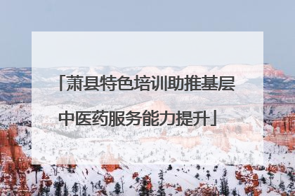 萧县特色培训助推基层中医药服务能力提升