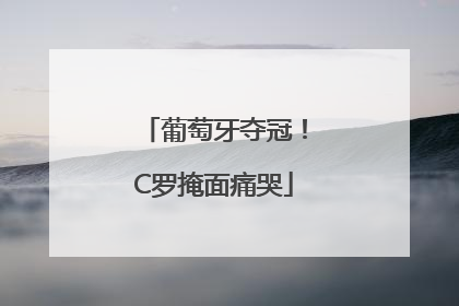 葡萄牙夺冠！C罗掩面痛哭
