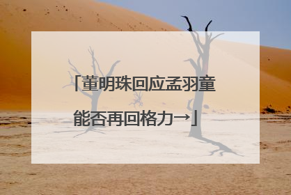 董明珠回应孟羽童能否再回格力→