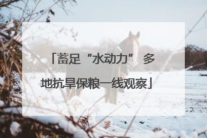 蓄足“水动力” 多地抗旱保粮一线观察