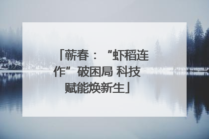 蕲春：“虾稻连作”破困局 科技赋能焕新生
