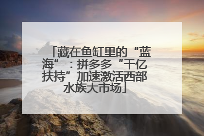 藏在鱼缸里的“蓝海”：拼多多“千亿扶持”加速激活西部水族大市场
