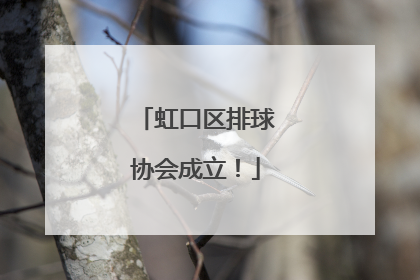 虹口区排球协会成立！