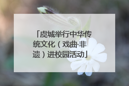 虞城举行中华传统文化（戏曲·非遗）进校园活动