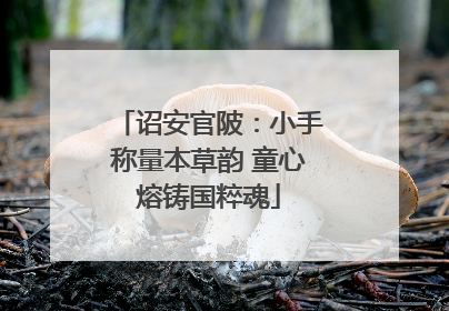 诏安官陂：小手称量本草韵 童心熔铸国粹魂