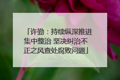 许勤：持续纵深推进集中整治 坚决纠治不正之风查处腐败问题