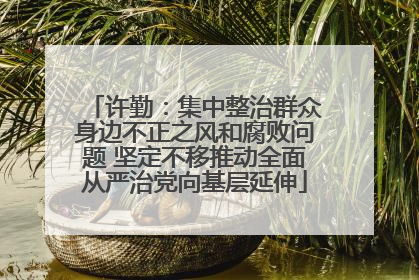 许勤：集中整治群众身边不正之风和腐败问题 坚定不移推动全面从严治党向基层延伸
