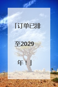 订单已排至2029年！
