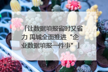 让数据填报省时又省力 禹城全面推进“企业数据填报一件事”