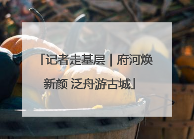 记者走基层｜府河焕新颜 泛舟游古城