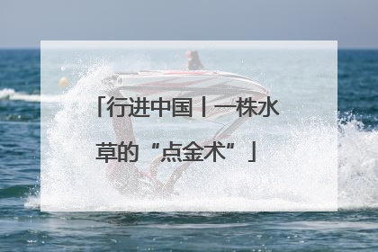 行进中国丨一株水草的“点金术”