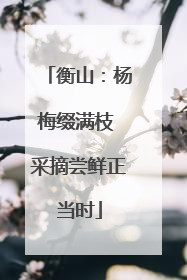 衡山：杨梅缀满枝 采摘尝鲜正当时