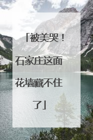 被美哭！石家庄这面花墙藏不住了