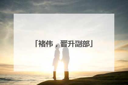 褚伟，晋升副部