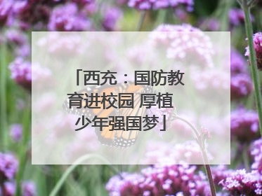 西充：国防教育进校园 厚植少年强国梦