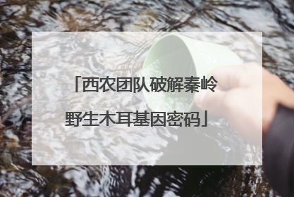 西农团队破解秦岭野生木耳基因密码