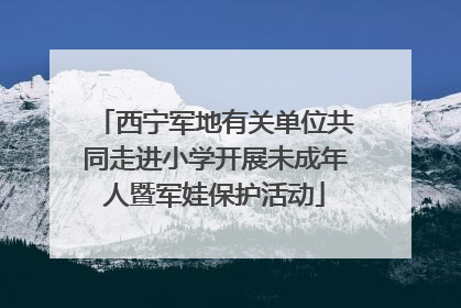 西宁军地有关单位共同走进小学开展未成年人暨军娃保护活动