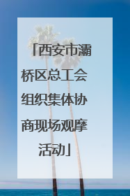 西安市灞桥区总工会组织集体协商现场观摩活动